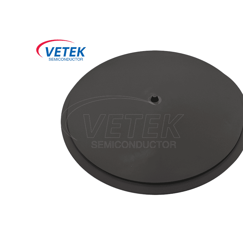CVD SIC Coating Graphite Susinceor